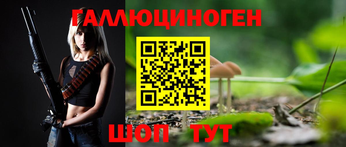 Усть-Кут  Галлюциногенные грибы Psilocybe  Вход с VPN 